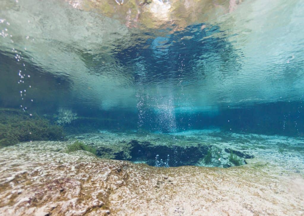 Underneath the surface at Ginnie Springs, a must-see of Florida natural springs.