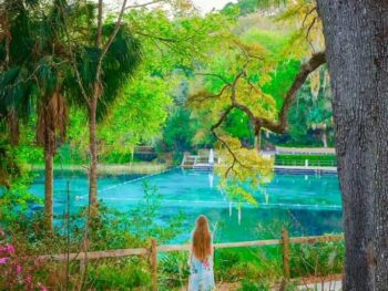 a girl in summer dress overlooking on of the Florida Springs crystal clear water on a day trip from Florida