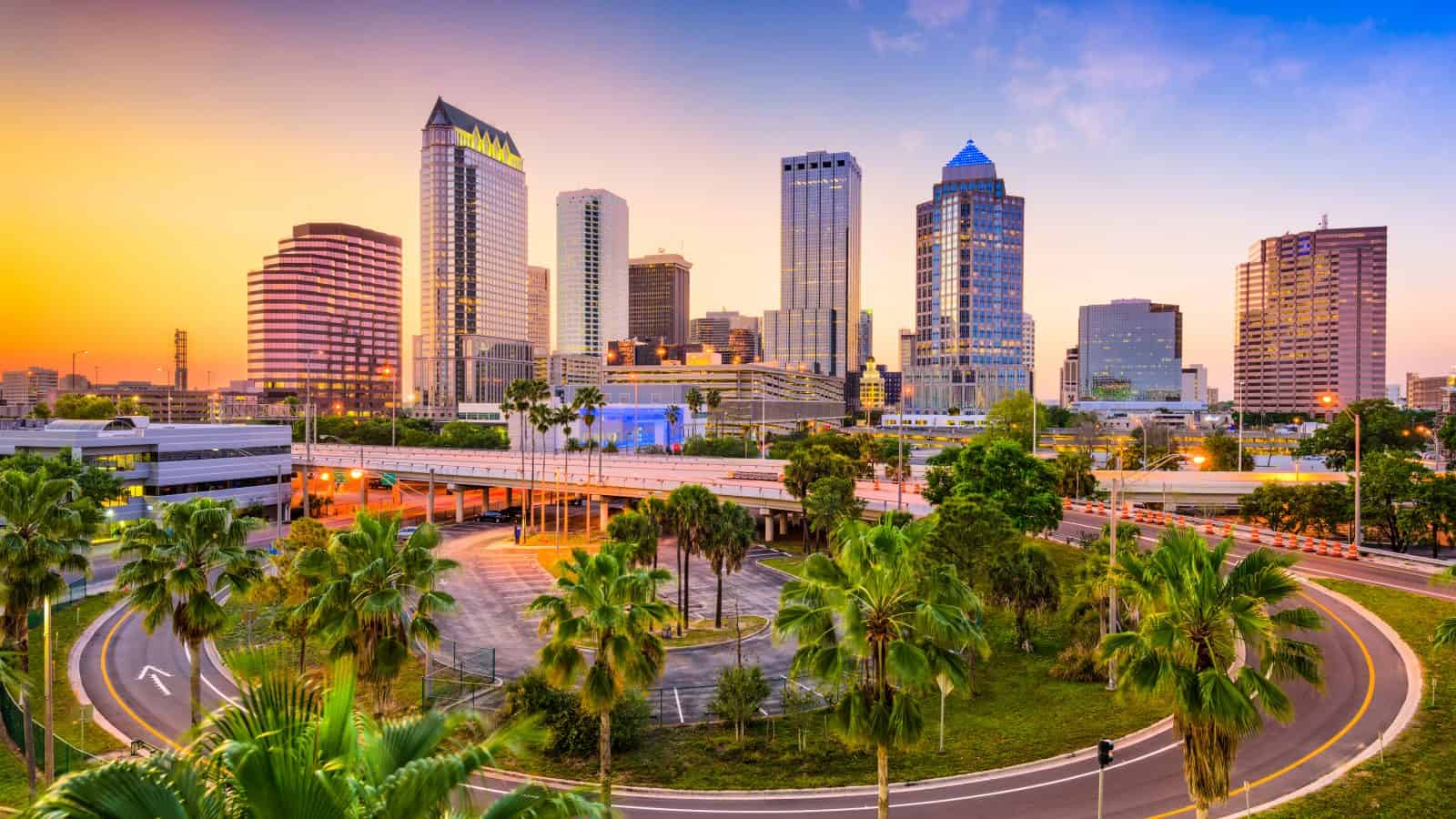 Tampa Bay in Florida Skyline