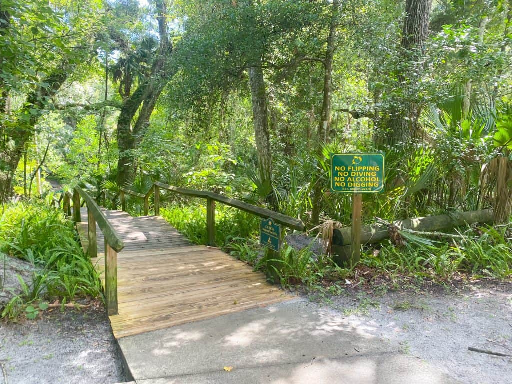 boardwalk to the headwaters of rock springs