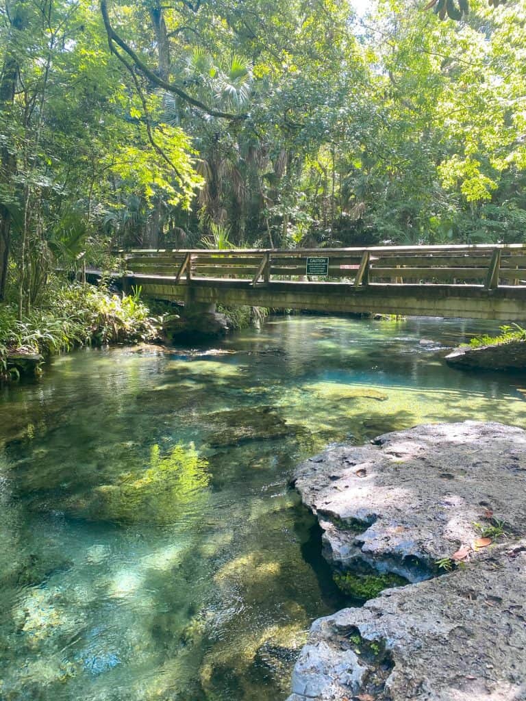 bridge crossing rock springs in Florida