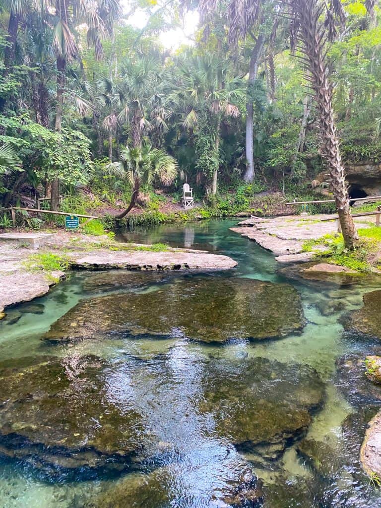 flat rocks at rock springs in kelly park