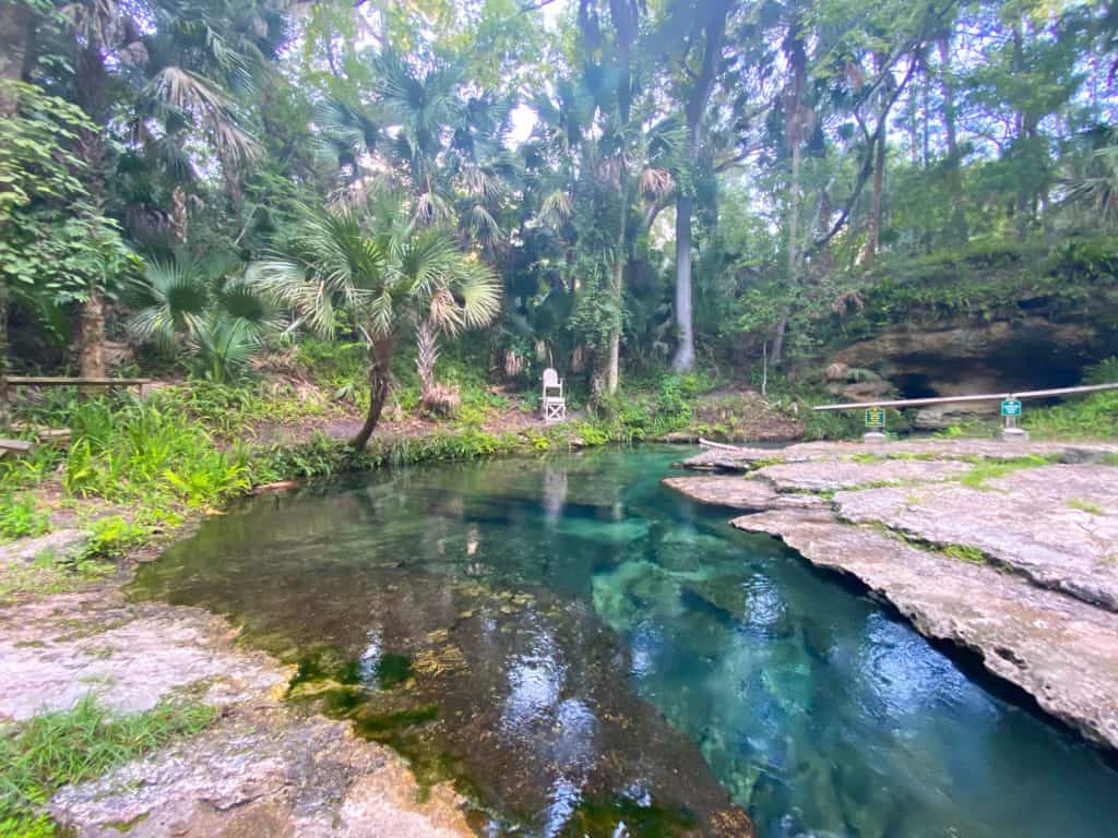 wide view of the headwaters of rock springs at kelly park