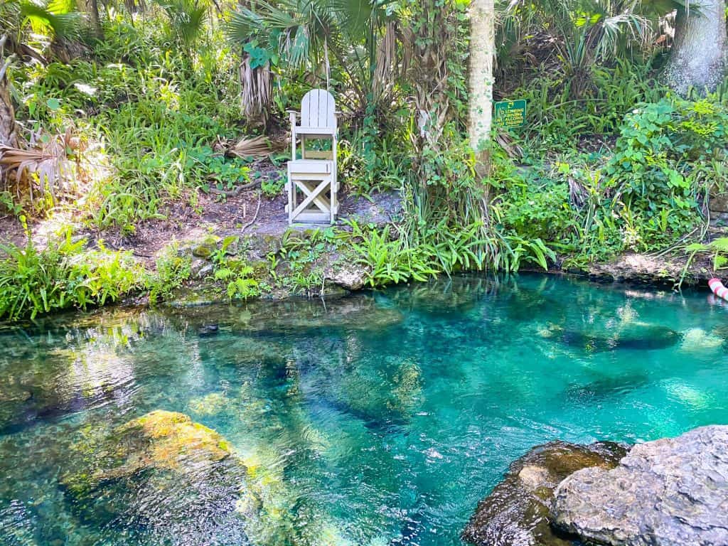 lifegaurd chair and pristine blue water at kelly park rock springs