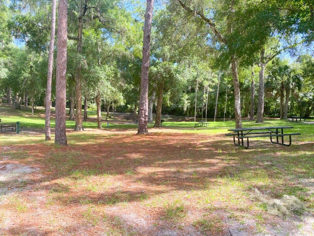 picnic tables at kelly park