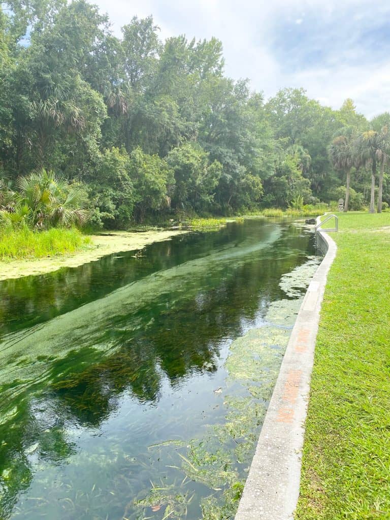 side of the river at rock springs florida