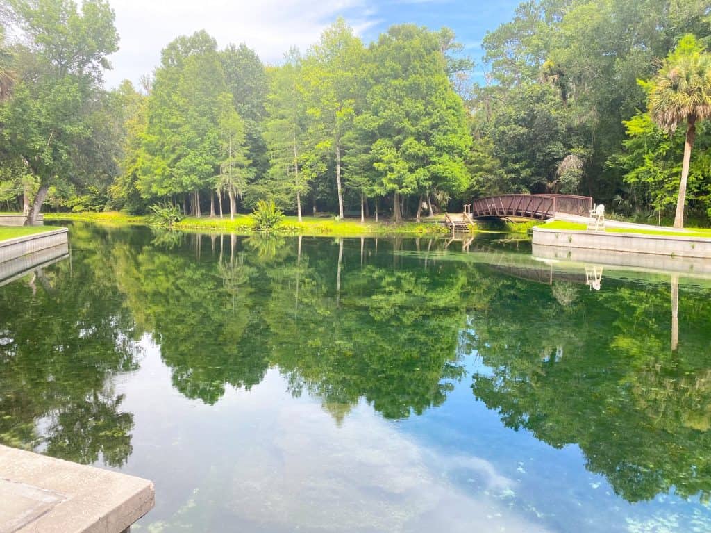 swimming hole at kelly park florida