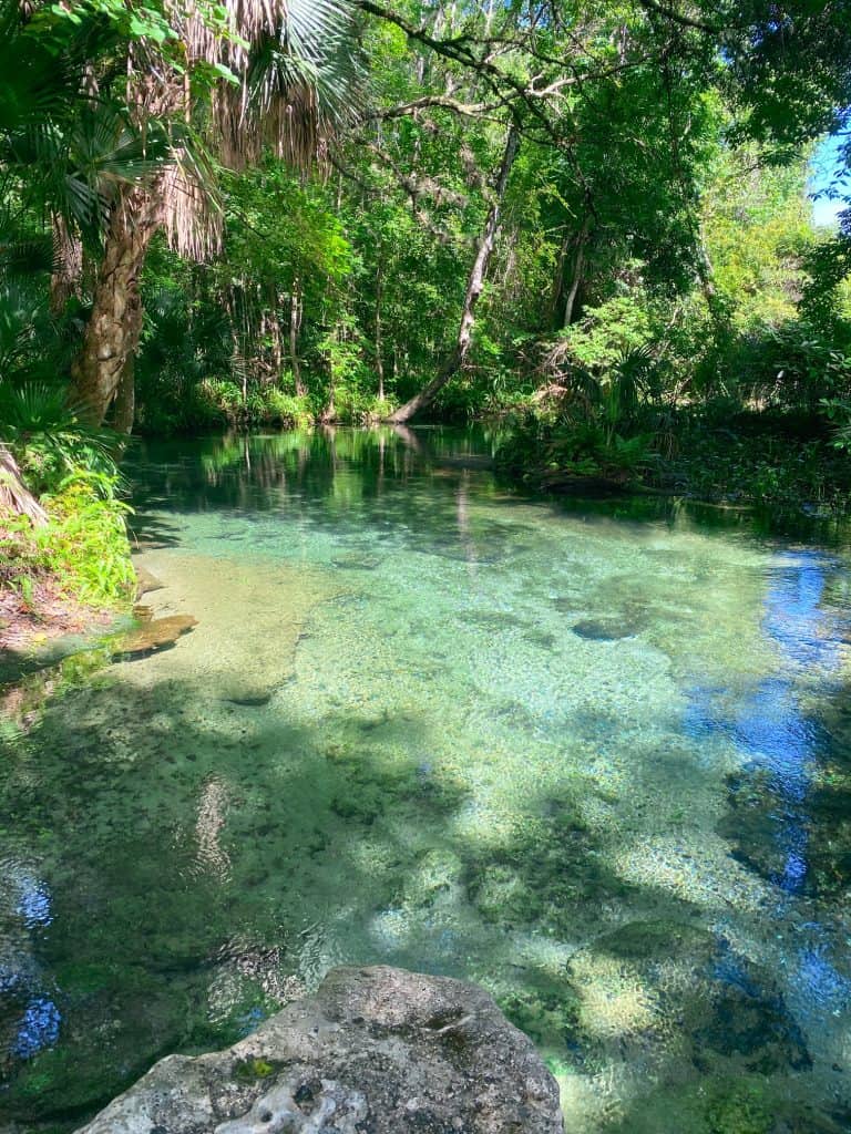 pristine blue water at rock springs florida