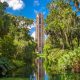 visiting bok towers is one of the best things to do in florida