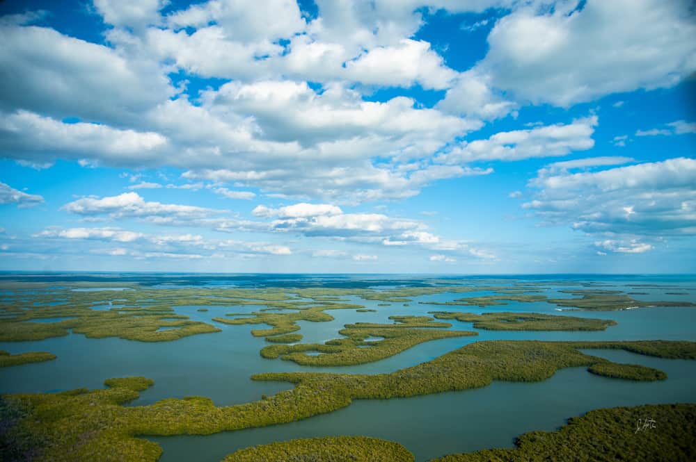 Aerial view of Everglades National Park swamps.