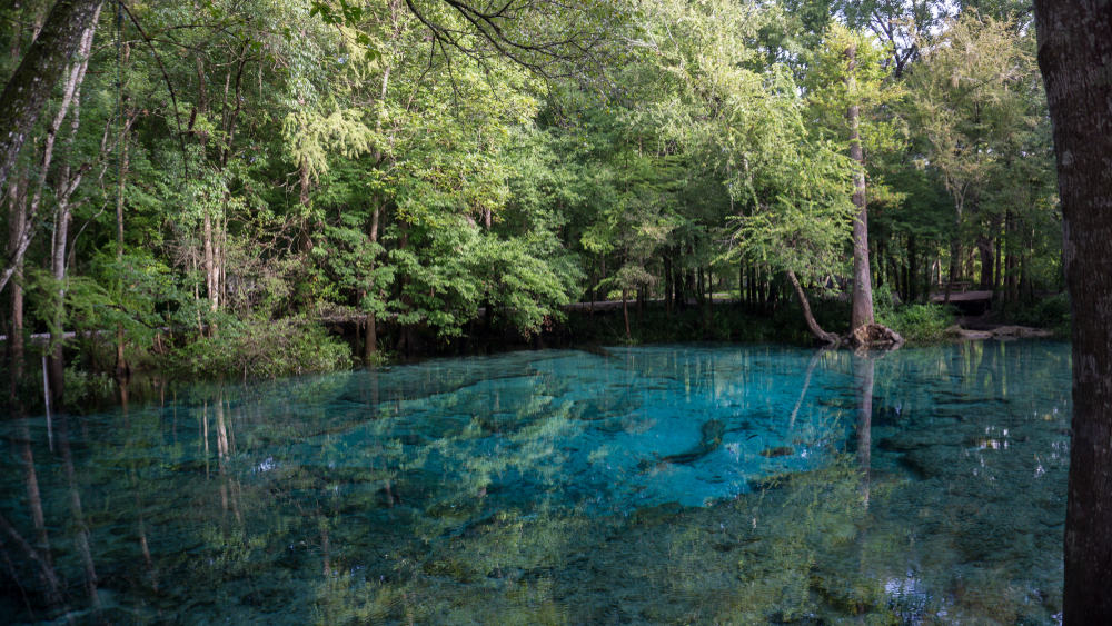 Ginnie Springs is known for its clear and cool waters! 