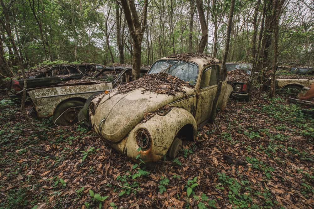 An old Volkswagen Beetle surrounded by decaying leaves in a forest. 