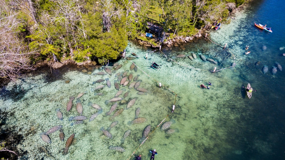 Aerial view of Manatee Spring Park, a great place to see manatees in the cooler months. 