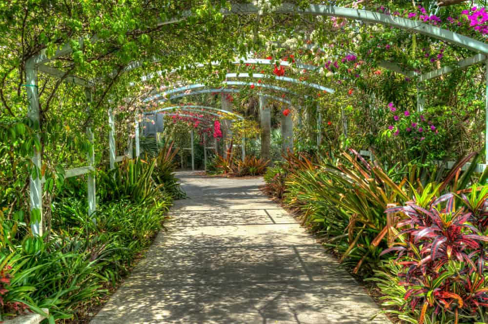 A path under a flower arch at the Napels Botanical Garden.