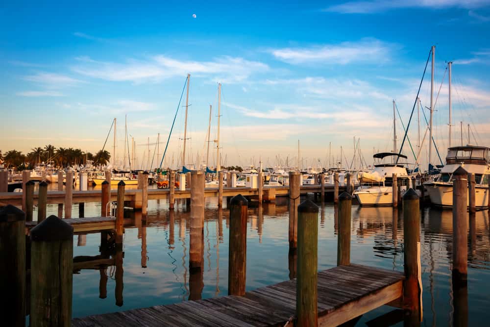 A marina full of boats in Coconut Grove during golden hour.