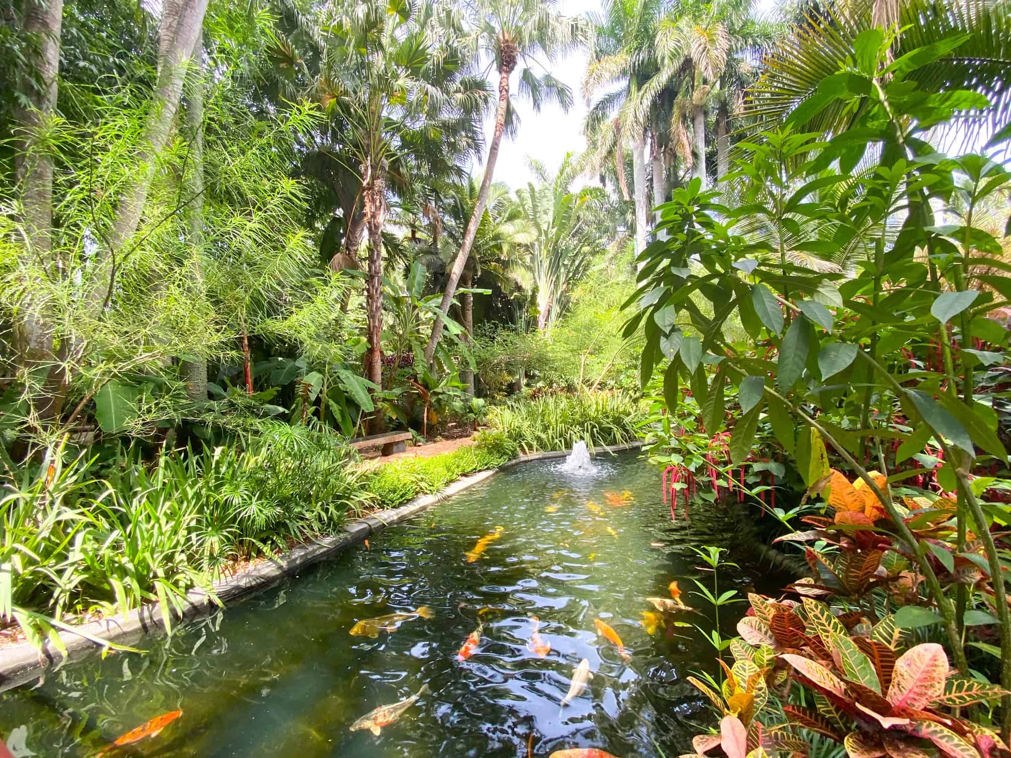 Tips For Visiting The St Pete Sunken Gardens - Florida Trippers