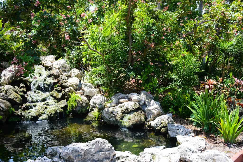 A rock pond surrounded by green plants and flowers at the Key West Garden Club.