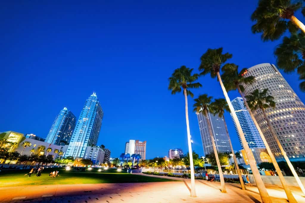 The swaying palm trees at dusk in Curtis Hixon Park, overlooking the downtown Tampa skyline.