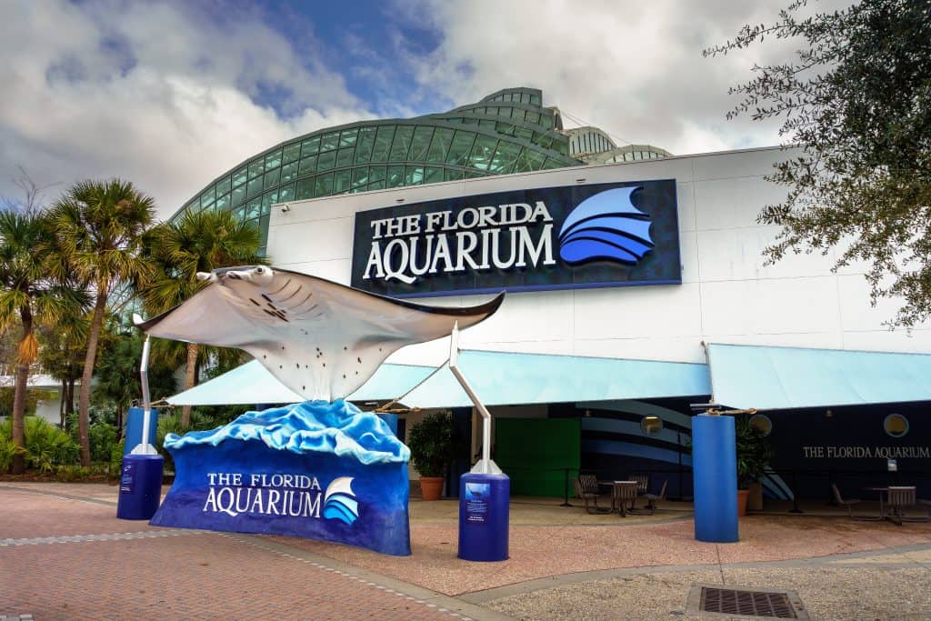 A giant manta ray greets visitors at the exterior of the Florida Aquarium. 