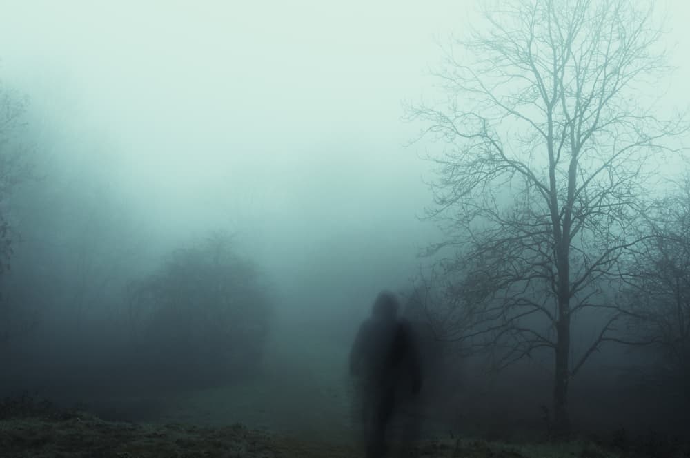 Photo of a spooky shadow/apparition in a forest.