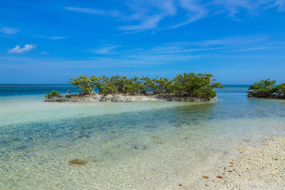 Photo of a beautiful island, floating in the turquoise water's of Biscayne National Park, a National Park in Florida