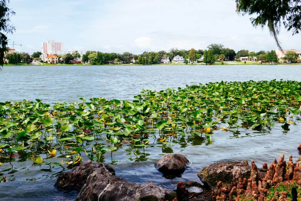 The view from City Center, the home of the biggest Lakeland attractions. 