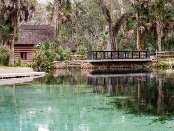 Juniper Spring shoudl be on your list of beautiful places to see in Ocala Florida