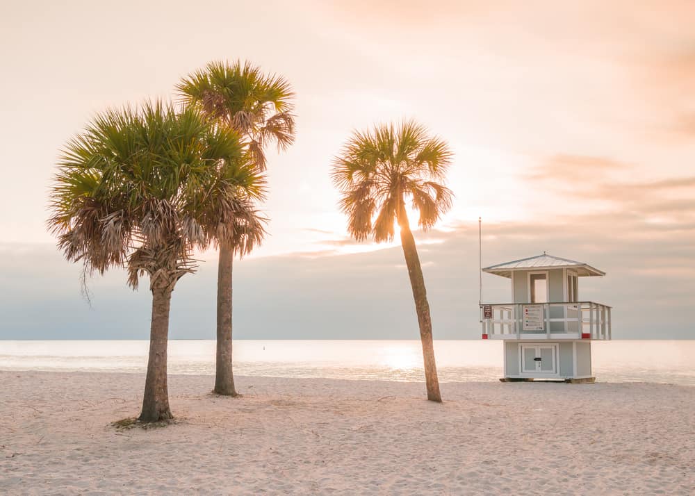 sunset at Fred Howard Park in Tarpon Springs Florida