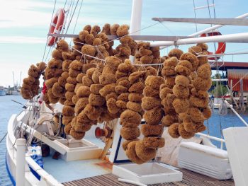 sponges on a boat is one of the best things to do in tarpon springs florida