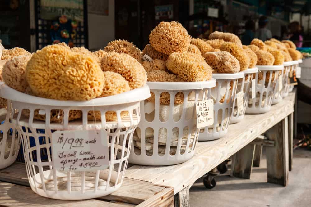 sponges for shopping on the sponge docks in tarpon springs florida