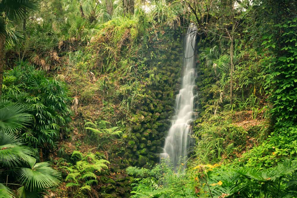 Waterfall at Rainbow Springs, one of the prettiest waterfalls in Florida.