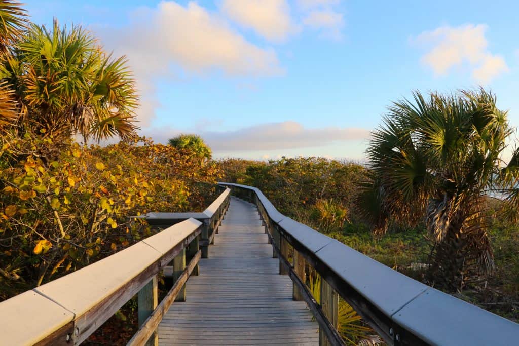 The nature trail winds through the tropical hammocks of Barefoot Beach State Preserve, one of the best beaches in Naples. 