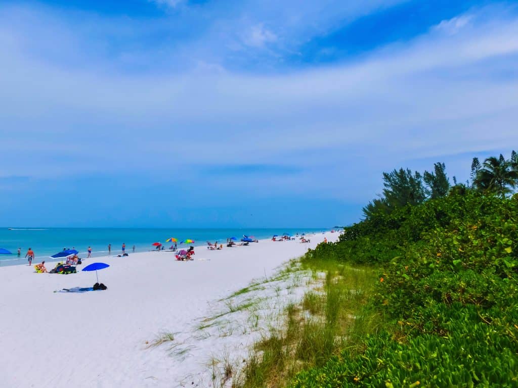 The mangroves and coastal hammock meets the sands of Vanderbilt Beach, where sunbathers relax in the Gulf waters.