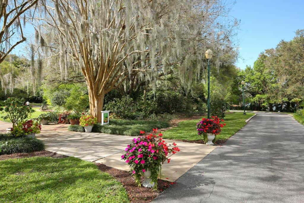 The trees and flowers of Leu Gardens, which hosts a monthly movie night on the lawn.