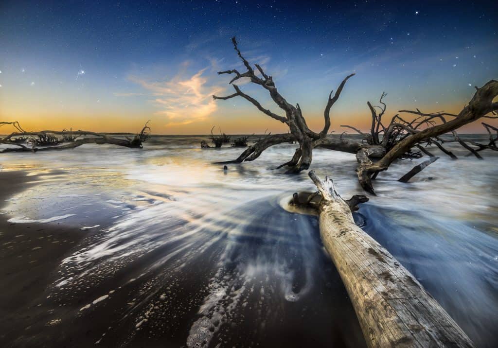 Driftwood is kissed by waves at sunset at Big Talbot Island State Park.