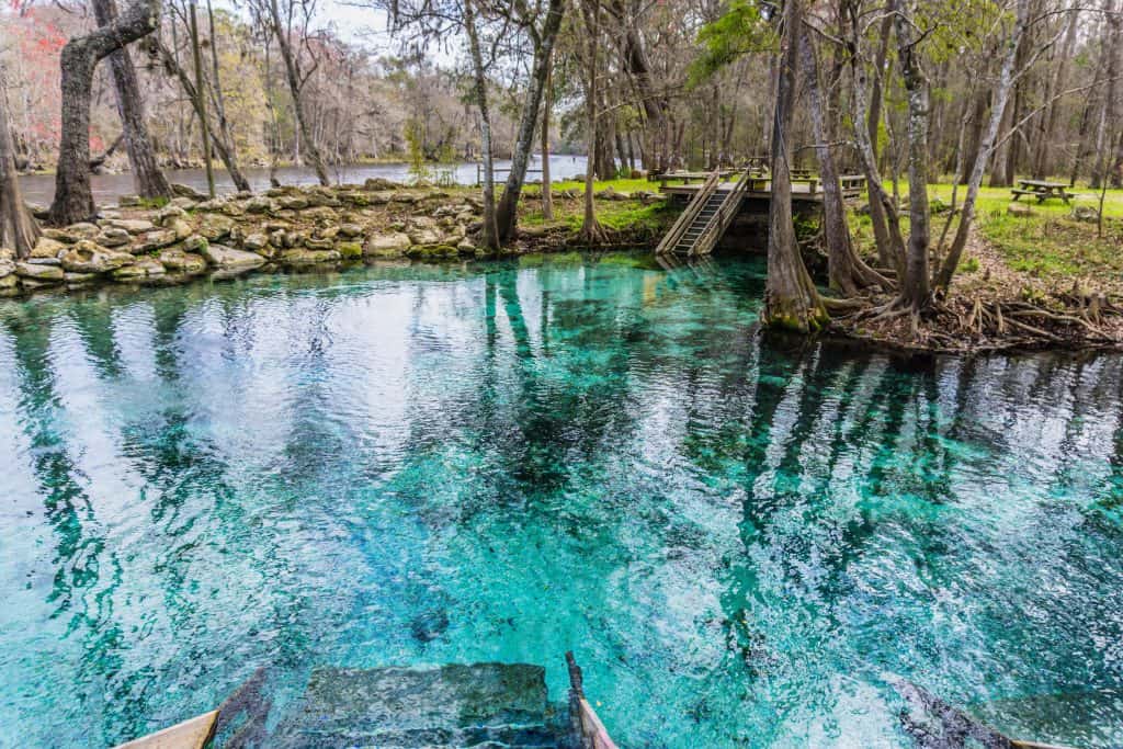 The crystal-clear waters of Blue Springs State Park, one of the best natural springs in Florida.