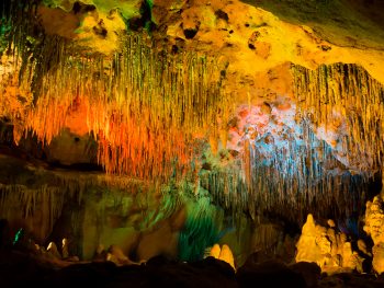 florida caverns state park in florida