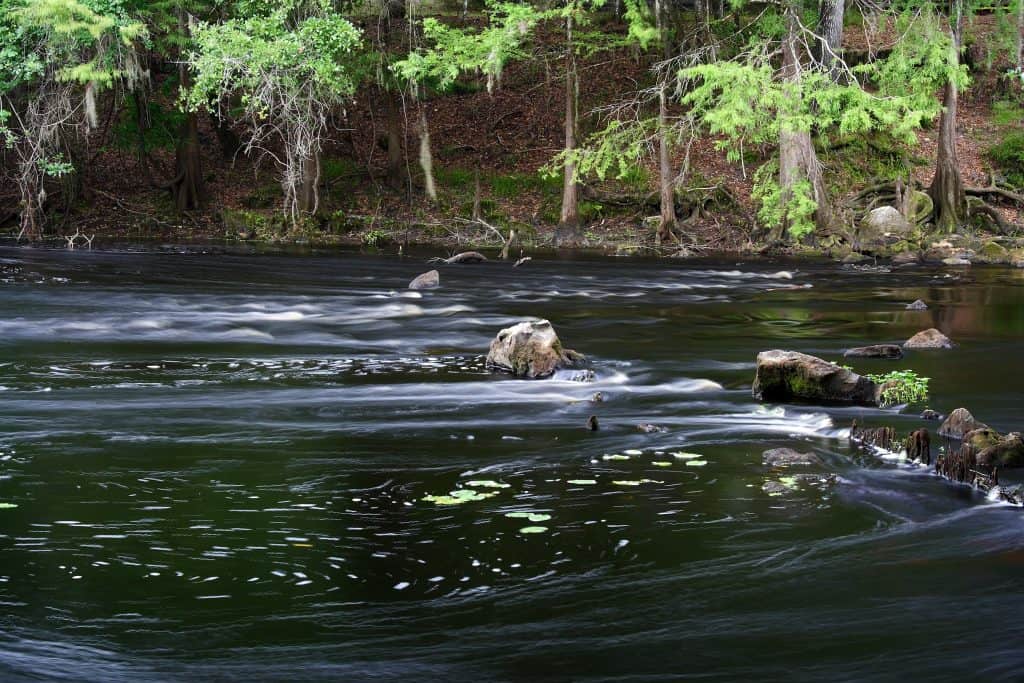 The Santa Fe River bubbles next to the River Trail on the O'Leno State Park grounds.