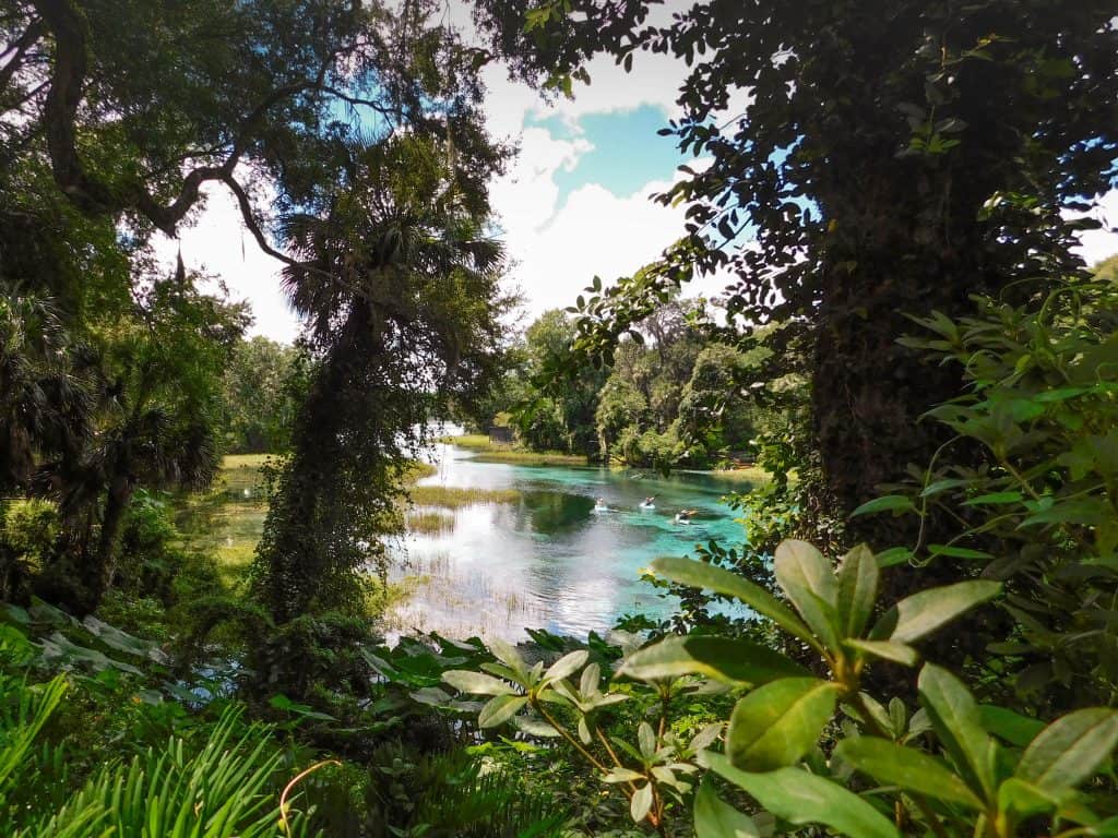 Lush greenery surrounds the crystal waters of Rainbow Springs where kayakers paddle.