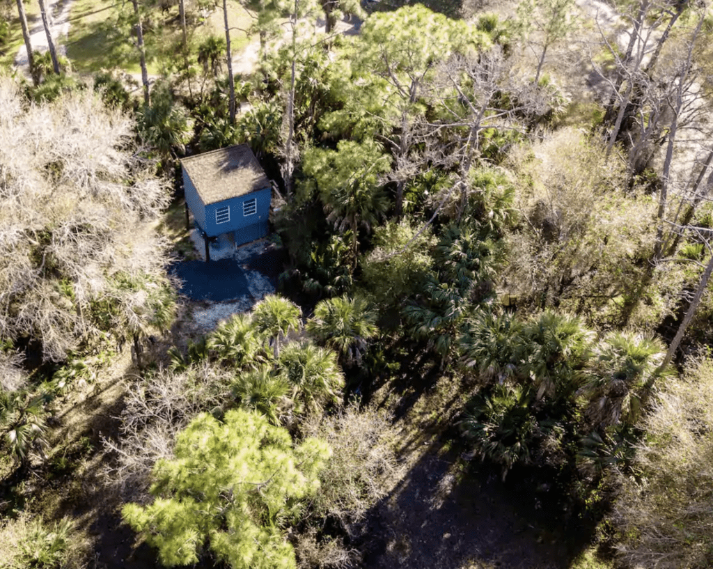 The Little House in the Woods glamping site sits nestled in the pines and oaks of Fort Myers, Florida.