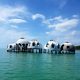 dome houses in naples florida