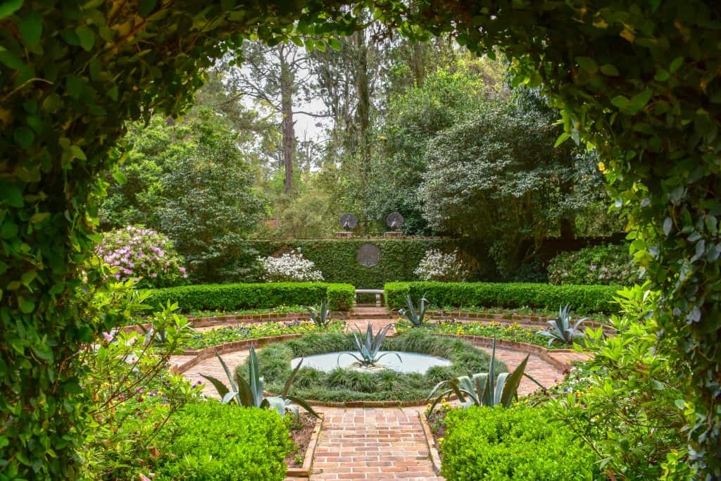 A lush tunnel opens up into the secret garden at the Alfred B. Maclay State Park, full of gardens with flowers, one of the best things to do in Tallahassee.
