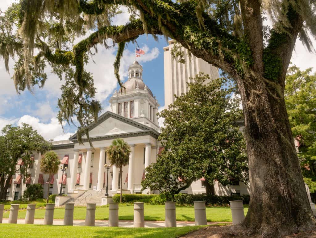 The Capitol Building stands, surrounded by towering oak trees in the capital city of Tallahassee.