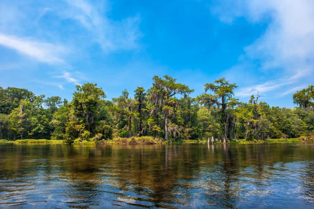 The clear, cool waters of Wakulla Springs one of the best things to do in Tallahassee.