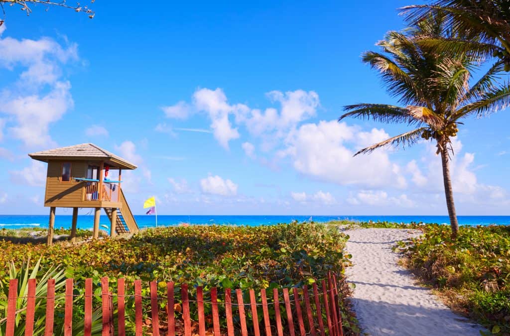 delray beach in west palm beach on a sunny day with palm trees