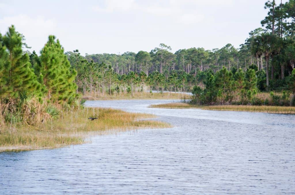 The winding water ways of Okeeheelee Park, one of the best things to do in West Palm Beach, Florida.