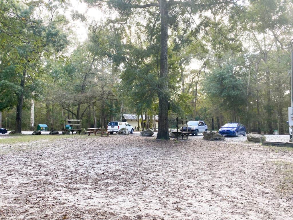The campground facilities at Ginnie Springs Florida with trees and picnic tables.