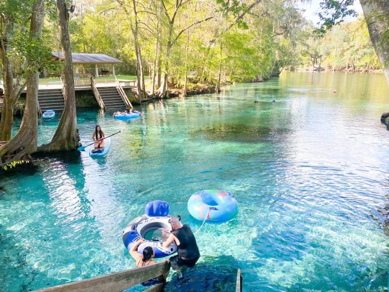 Tips For Ginnie Springs A Perfect Florida Oasis Florida Trippers
