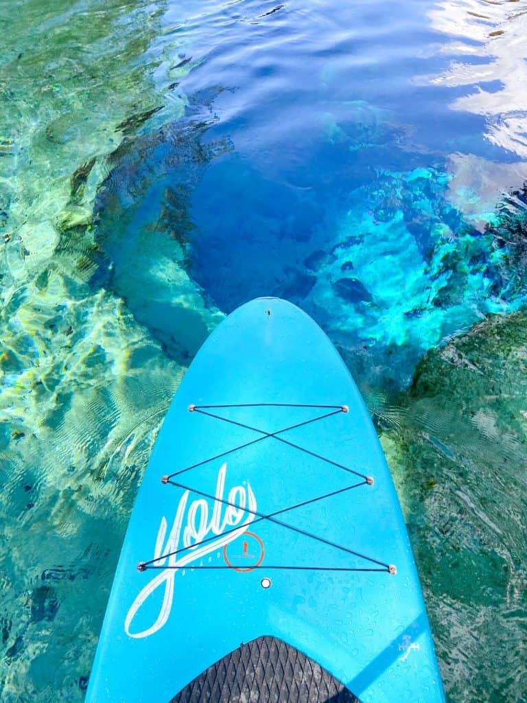 View from a paddle board of the clear water of Devil's Eye spring.