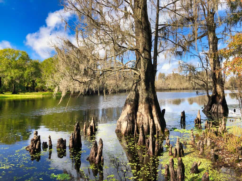 Best hikes near tampa